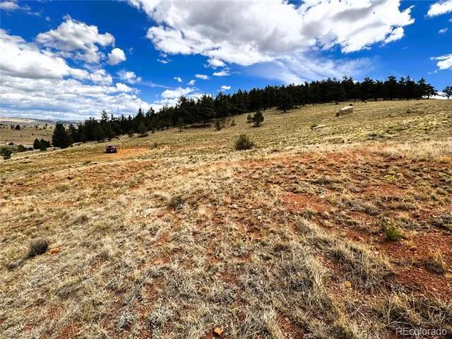 00 Sioux Road Hartsel, CO 80449