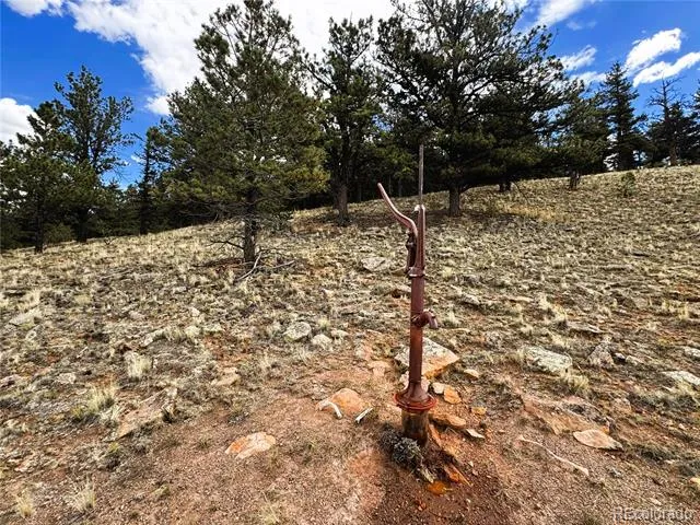 00 Sioux Road Hartsel, CO 80449