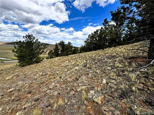 00 Sioux Road Hartsel, CO 80449
