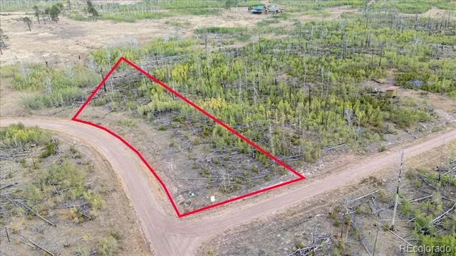 Lot 1446 Emery Loop Fort Garland, CO 81133