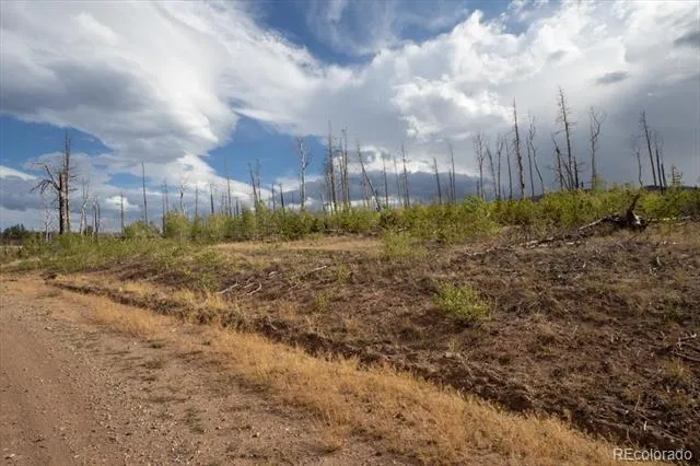 Lot 1446 Emery Loop Fort Garland, CO 81133