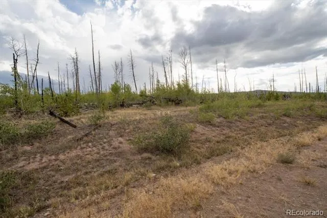 Lot 1446 Emery Loop Fort Garland, CO 81133