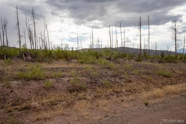 Lot 1446 Emery Loop Fort Garland, CO 81133