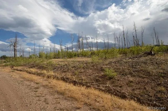 Lot 1446 Emery Loop Fort Garland, CO 81133