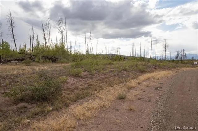 Lot 1446 Emery Loop Fort Garland, CO 81133