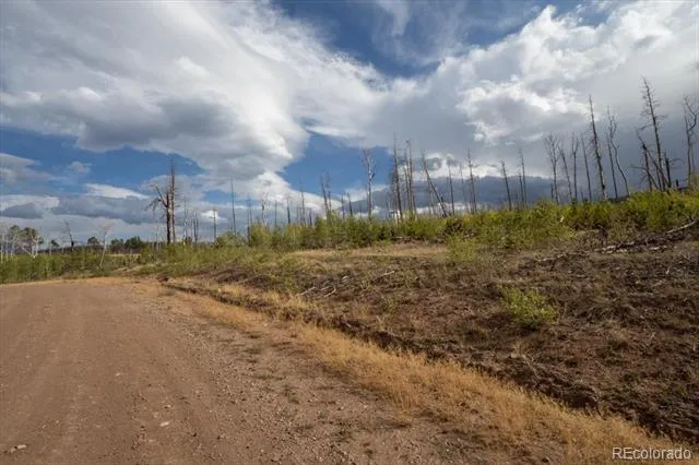 Lot 1446 Emery Loop Fort Garland, CO 81133