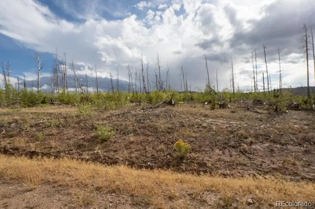 Lot 1446 Emery Loop Fort Garland, CO 81133