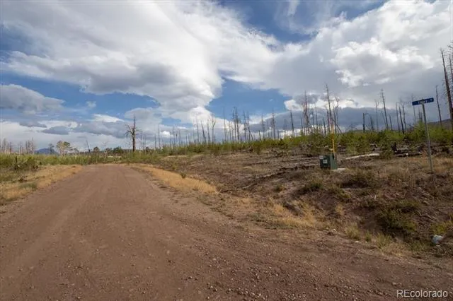 Lot 1446 Emery Loop Fort Garland, CO 81133