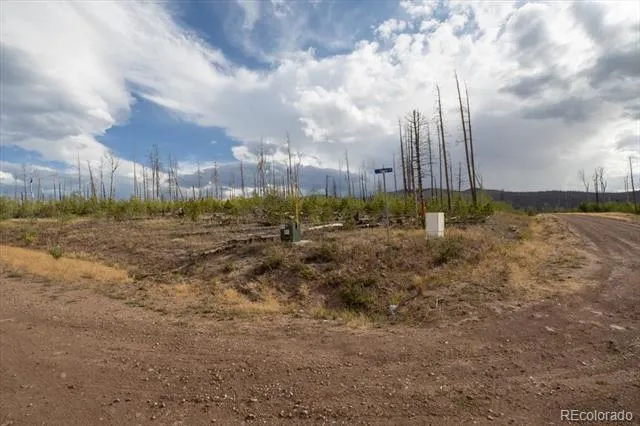 Lot 1446 Emery Loop Fort Garland, CO 81133