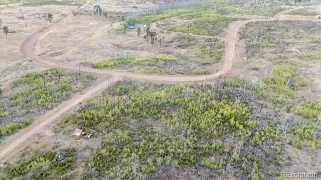 Lot 1446 Emery Loop Fort Garland, CO 81133