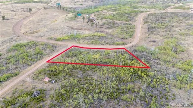 Lot 1446 Emery Loop Fort Garland, CO 81133