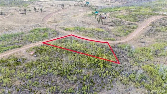 Lot 1446 Emery Loop Fort Garland, CO 81133