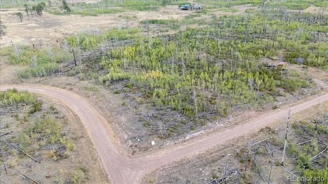 Lot 1446 Emery Loop Fort Garland, CO 81133