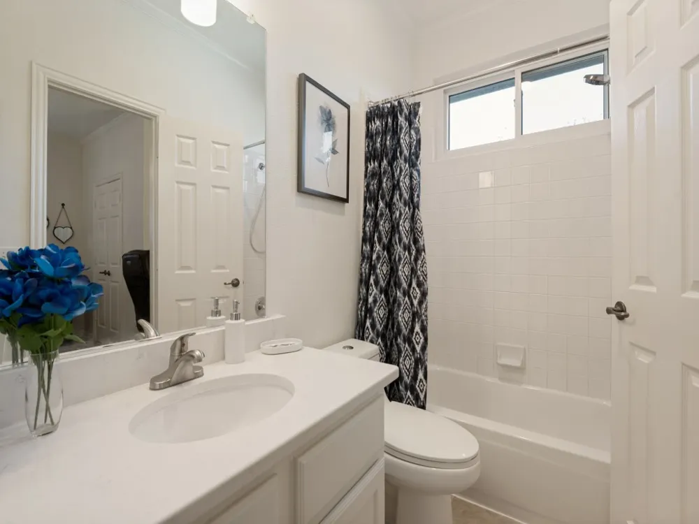 4308 Echo Bluff Drive Plano, TX 75024
