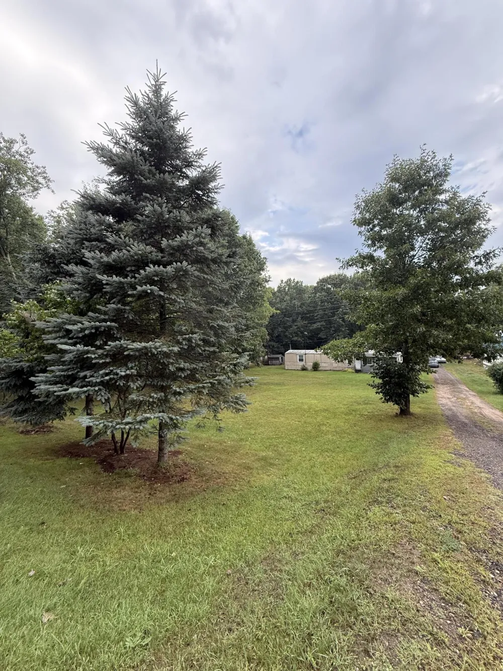 22104 W Kendaville Road Pierson Township, MI 49339
