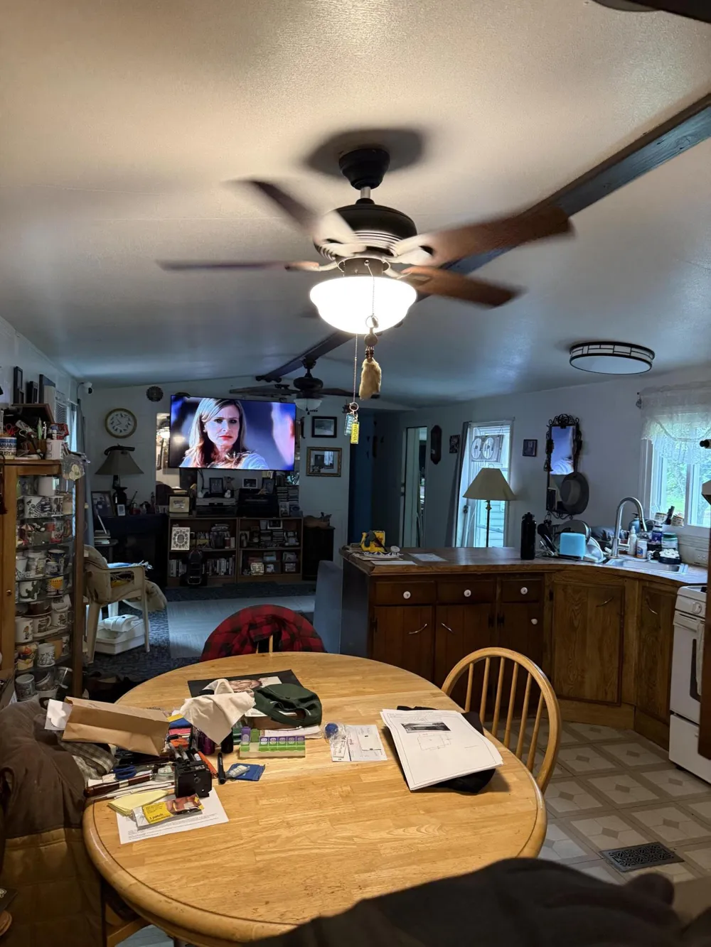 22104 W Kendaville Road Pierson Township, MI 49339