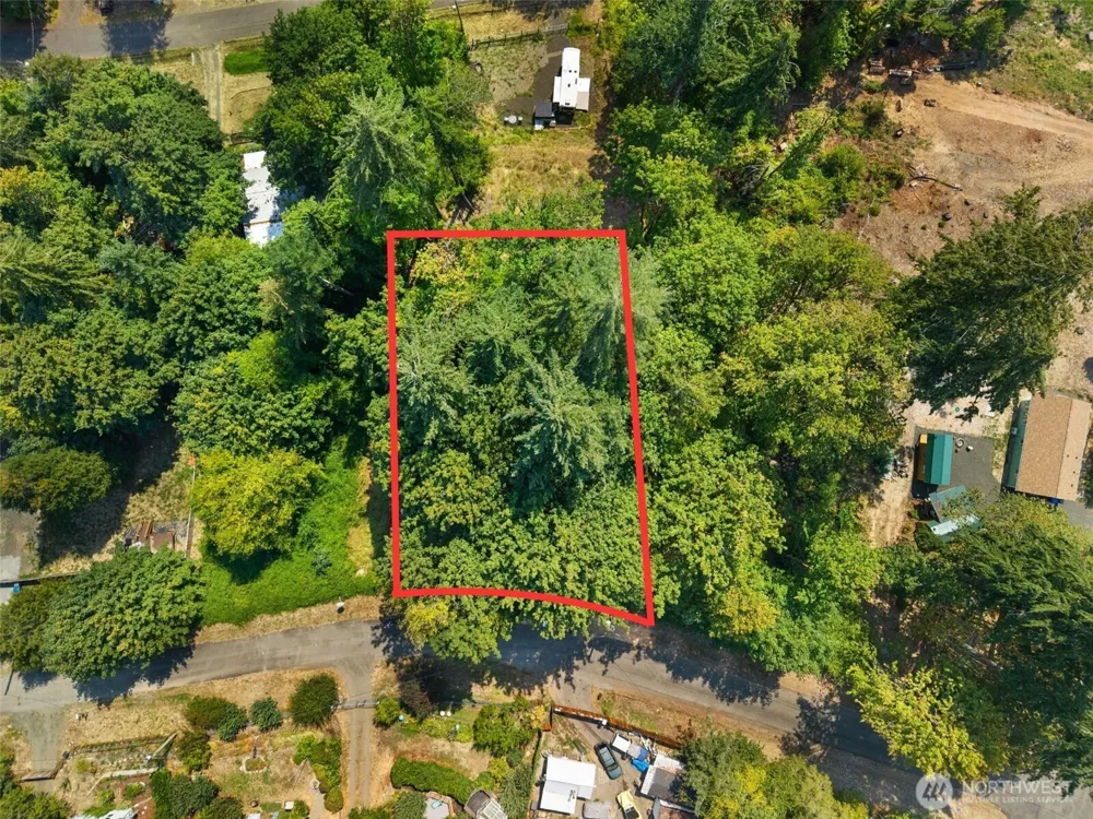 40 E Ridgeview Drive Shelton, WA 98584