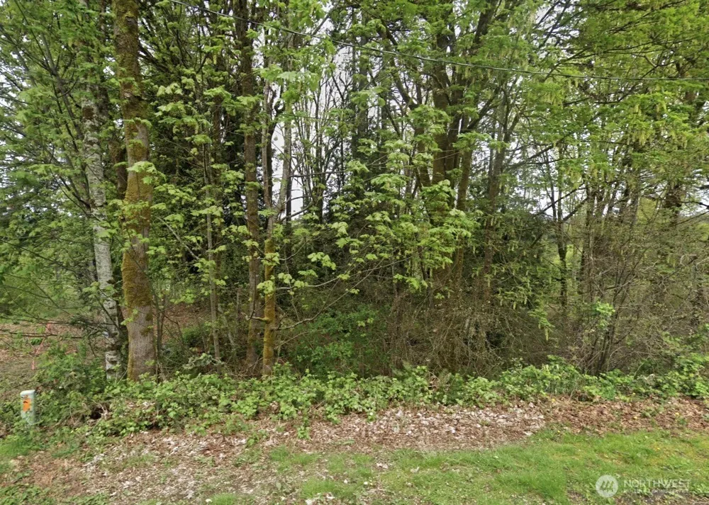 40 E Ridgeview Drive Shelton, WA 98584