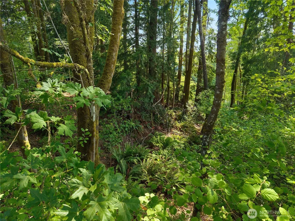 40 E Ridgeview Drive Shelton, WA 98584