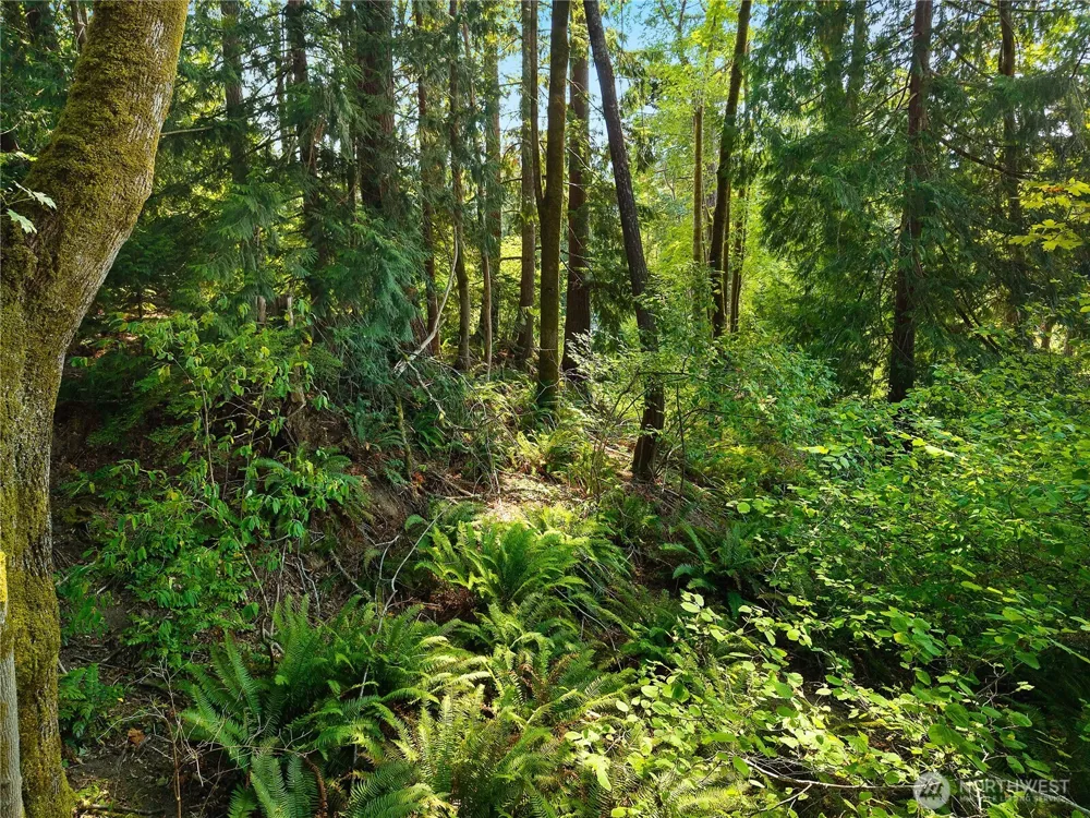40 E Ridgeview Drive Shelton, WA 98584