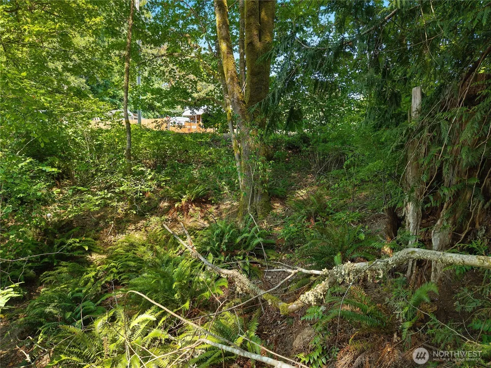 40 E Ridgeview Drive Shelton, WA 98584