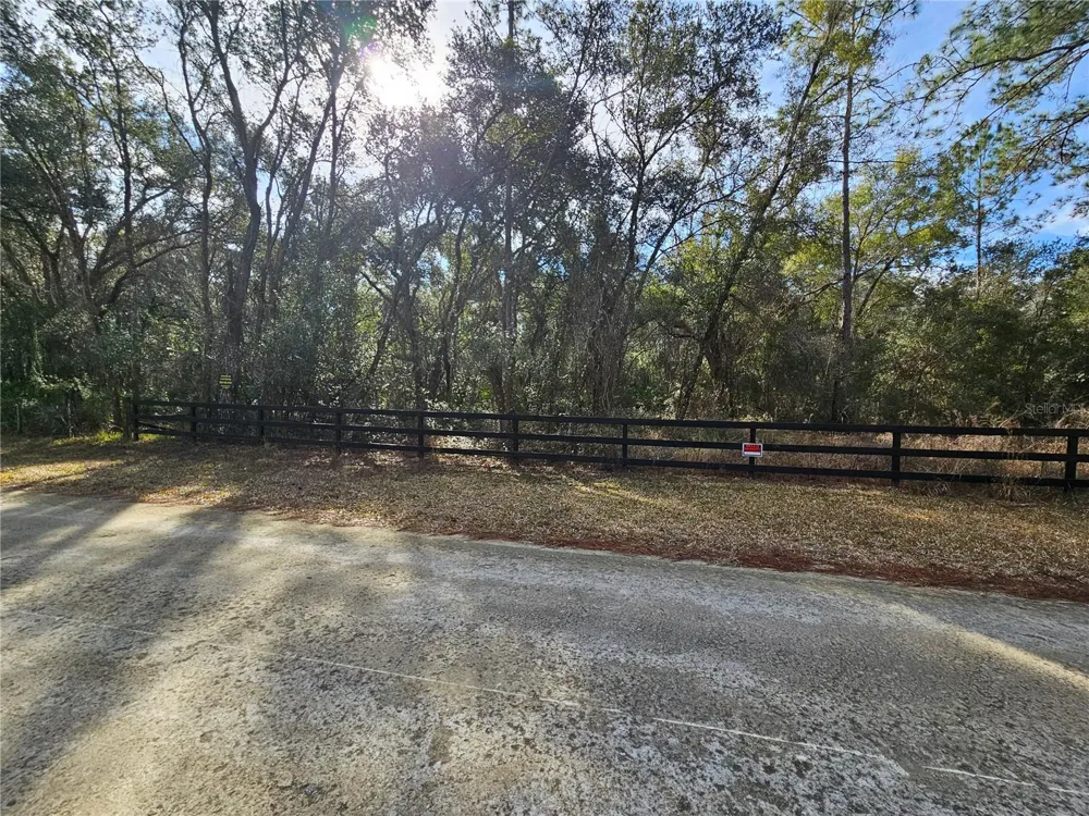 ROSEHILL DRIVE Webster, FL 33597