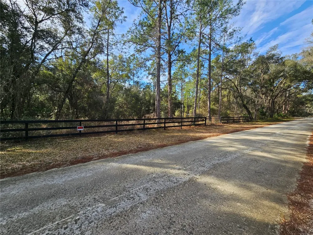 ROSEHILL DRIVE Webster, FL 33597