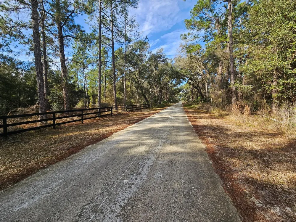 ROSEHILL DRIVE Webster, FL 33597