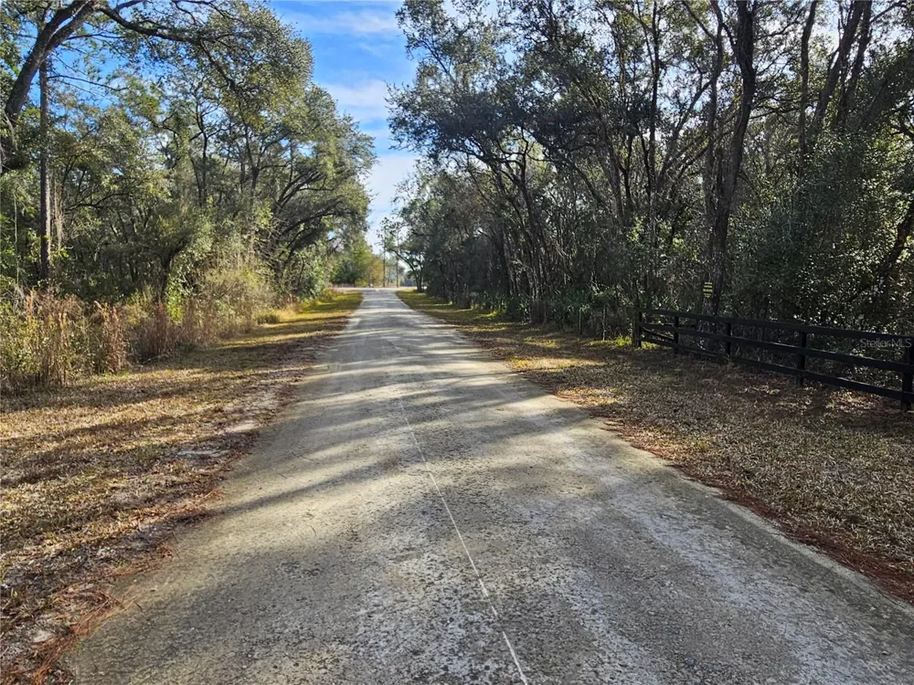 ROSEHILL DRIVE Webster, FL 33597