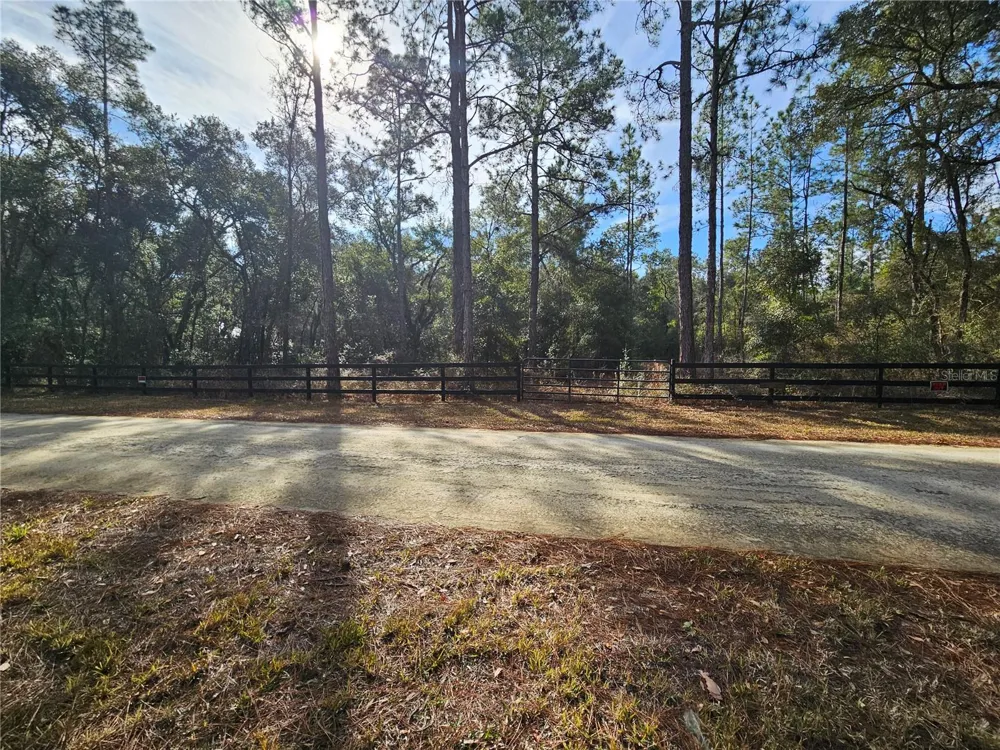 ROSEHILL DRIVE Webster, FL 33597