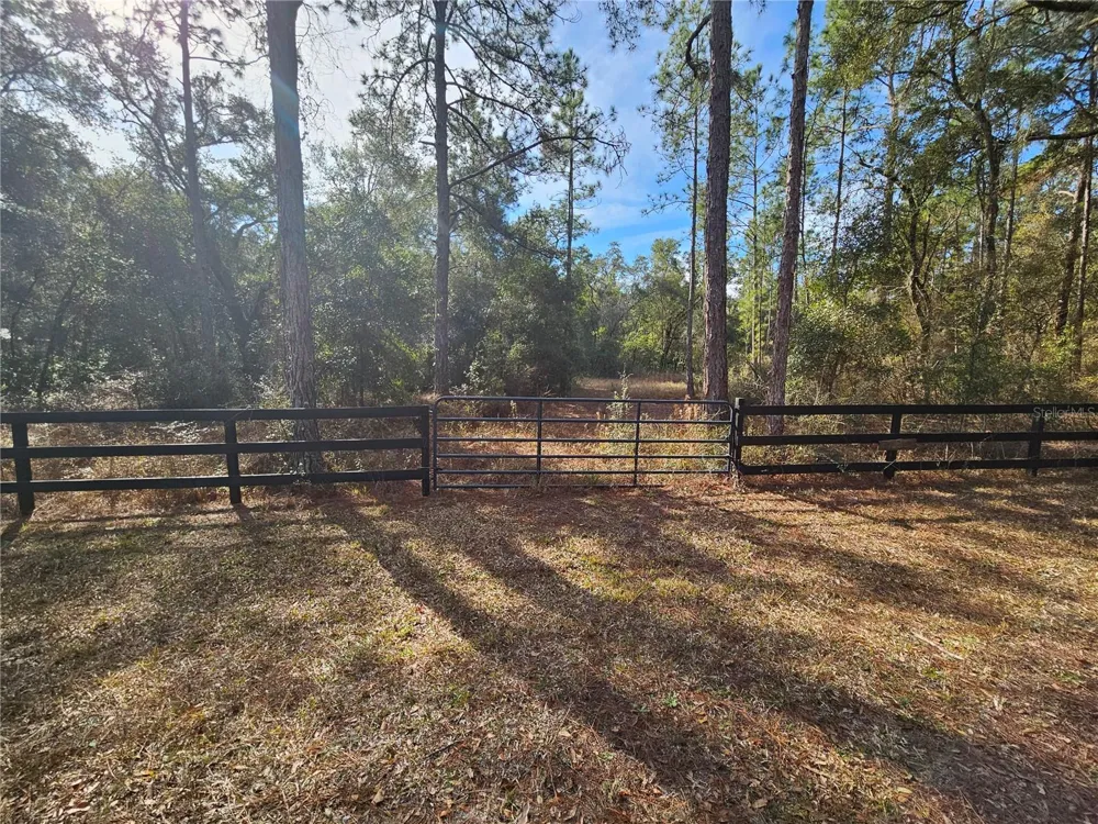ROSEHILL DRIVE Webster, FL 33597