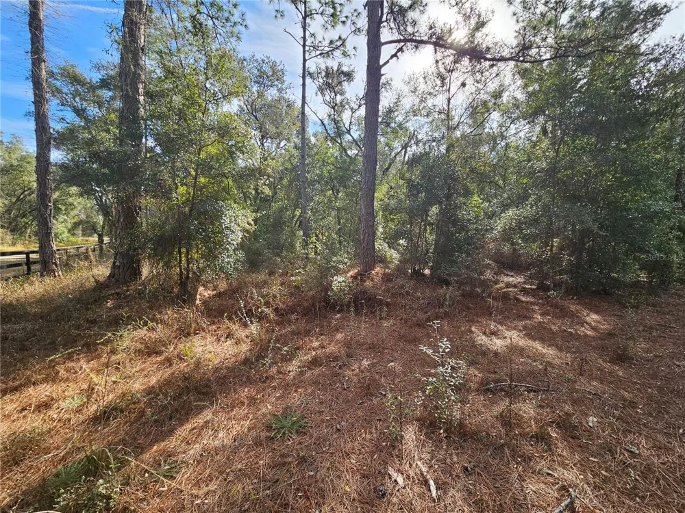 ROSEHILL DRIVE Webster, FL 33597
