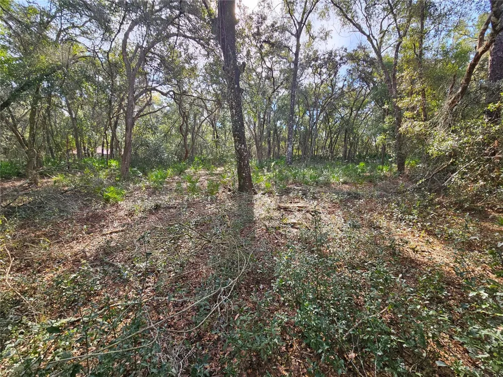 ROSEHILL DRIVE Webster, FL 33597