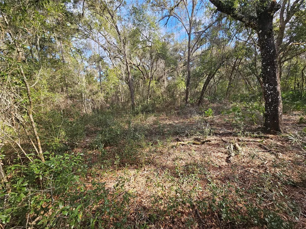 ROSEHILL DRIVE Webster, FL 33597