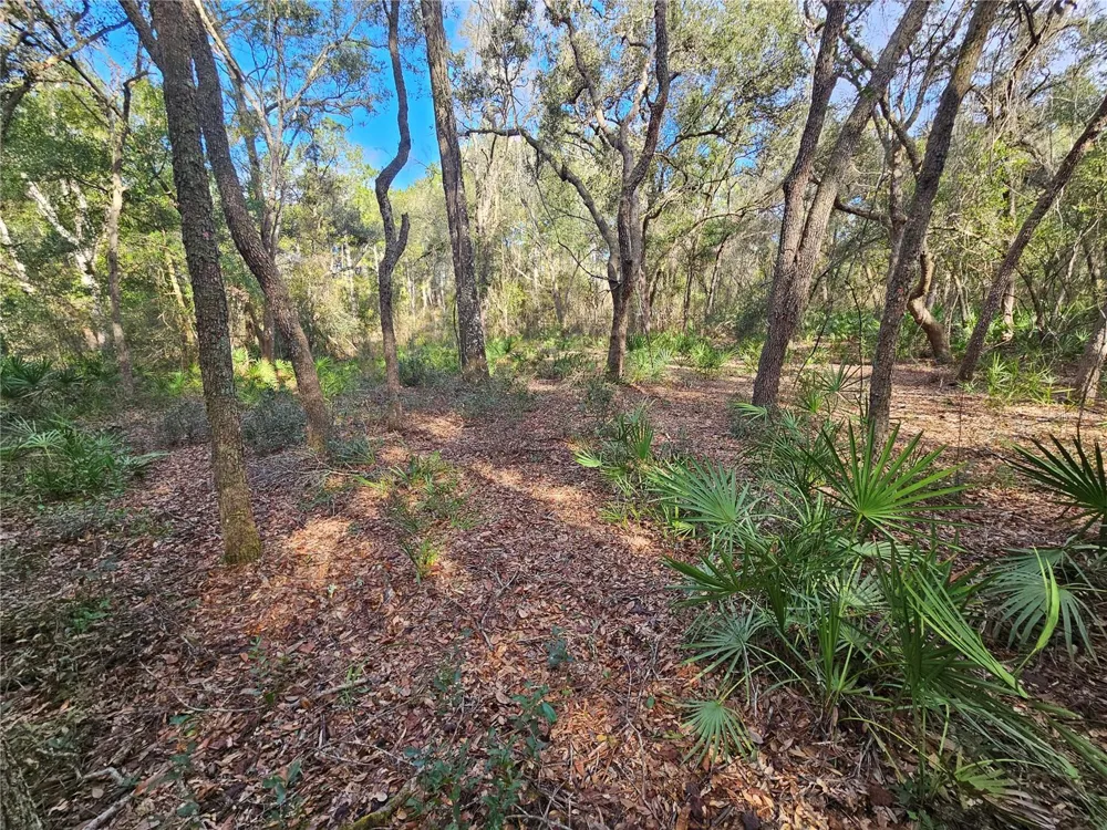 ROSEHILL DRIVE Webster, FL 33597