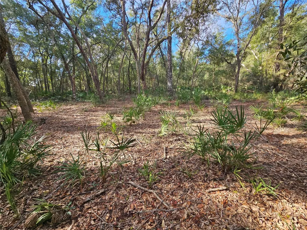 ROSEHILL DRIVE Webster, FL 33597