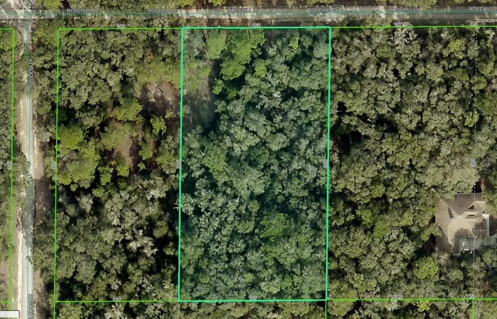 ROSEHILL DRIVE Webster, FL 33597