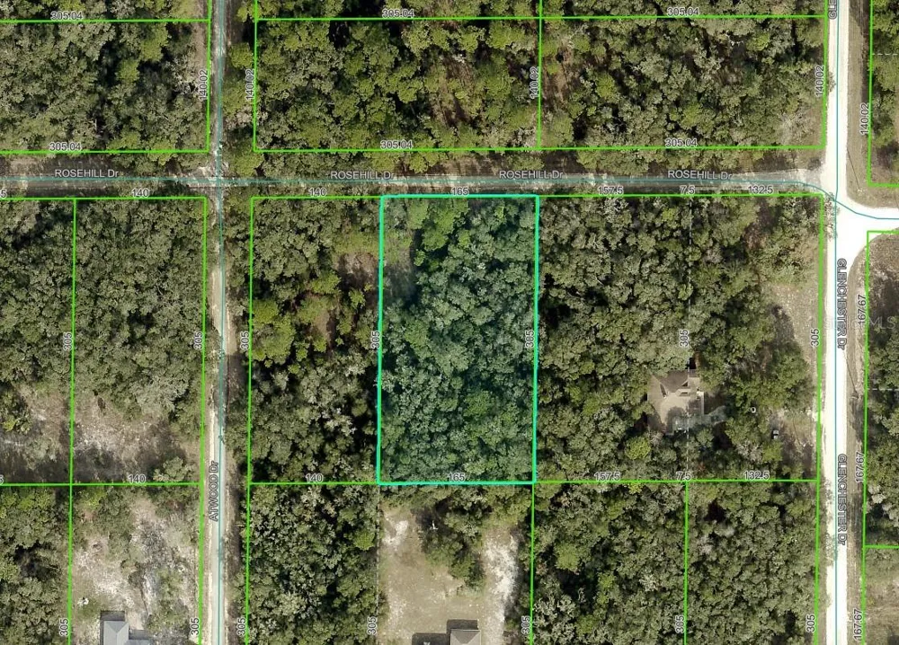 ROSEHILL DRIVE Webster, FL 33597