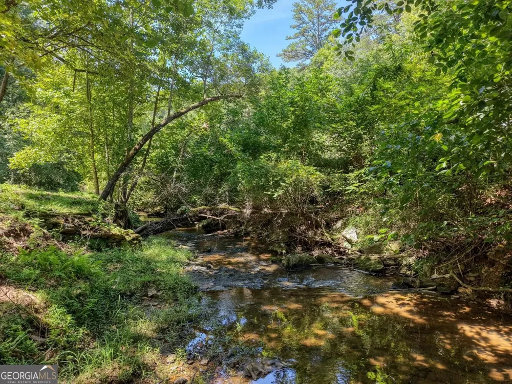 6564 Crooked Creek RD Young Harris, GA 30582