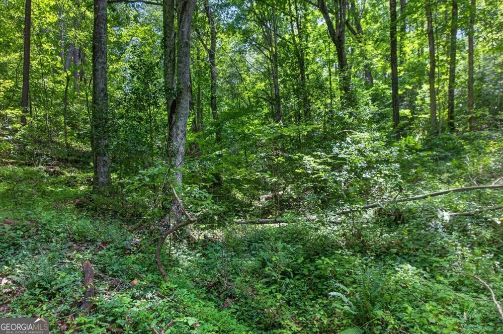1965 Highway 52 E Ellijay, GA 30536