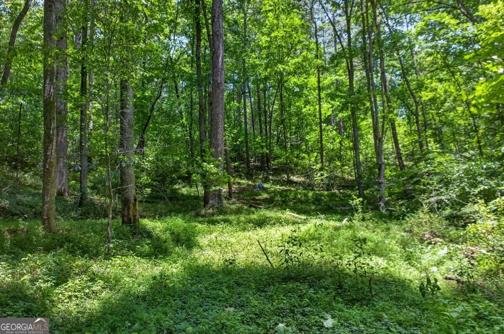 1965 Highway 52 E Ellijay, GA 30536