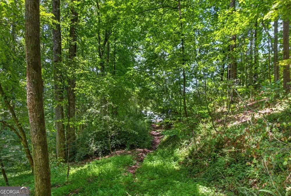 1965 Highway 52 E Ellijay, GA 30536