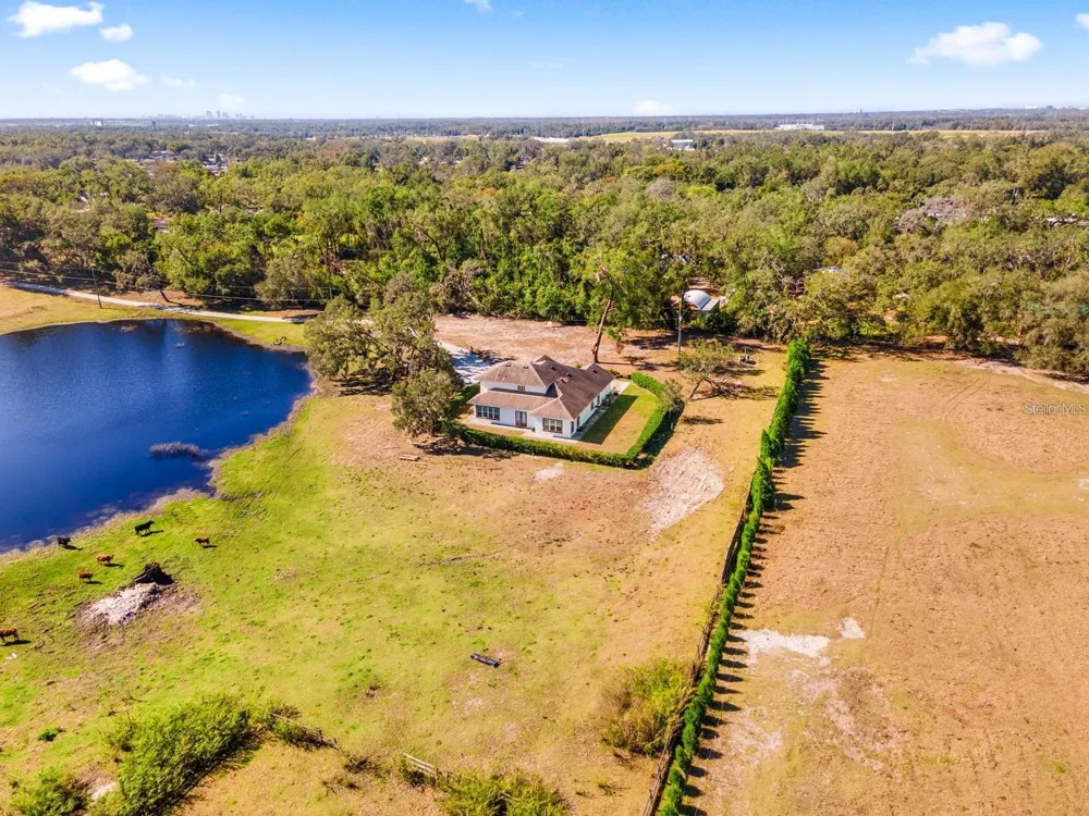 9606 RIPLEY ROAD Thonotosassa, FL 33592