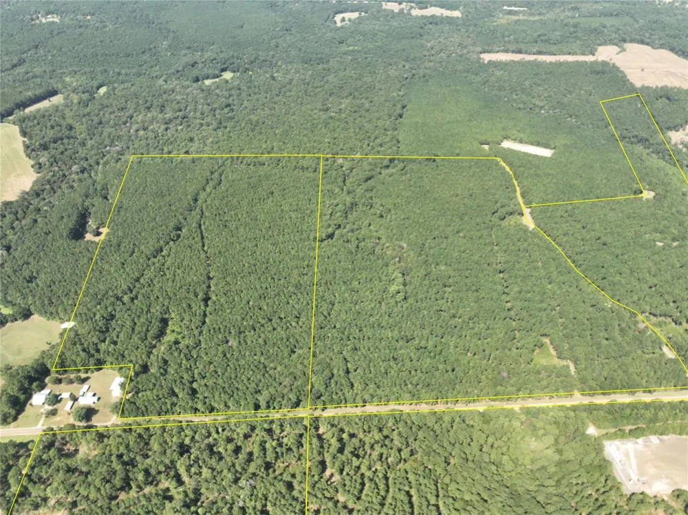 3 Fm 256 Woodville, TX 75979
