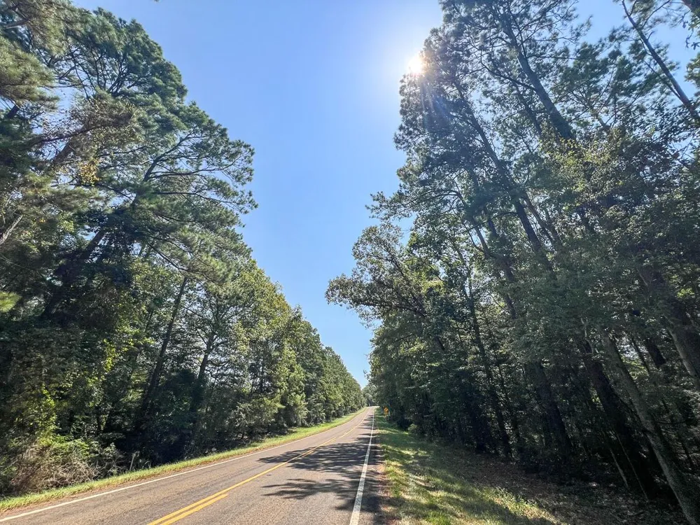 3 Fm 256 Woodville, TX 75979