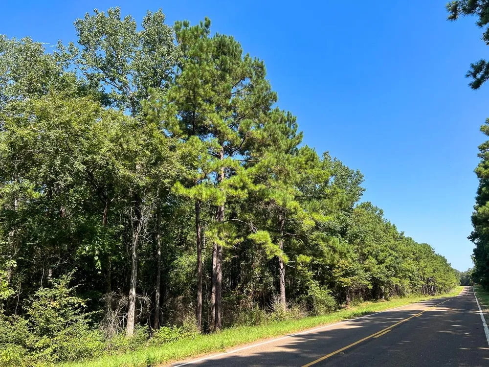 3 Fm 256 Woodville, TX 75979