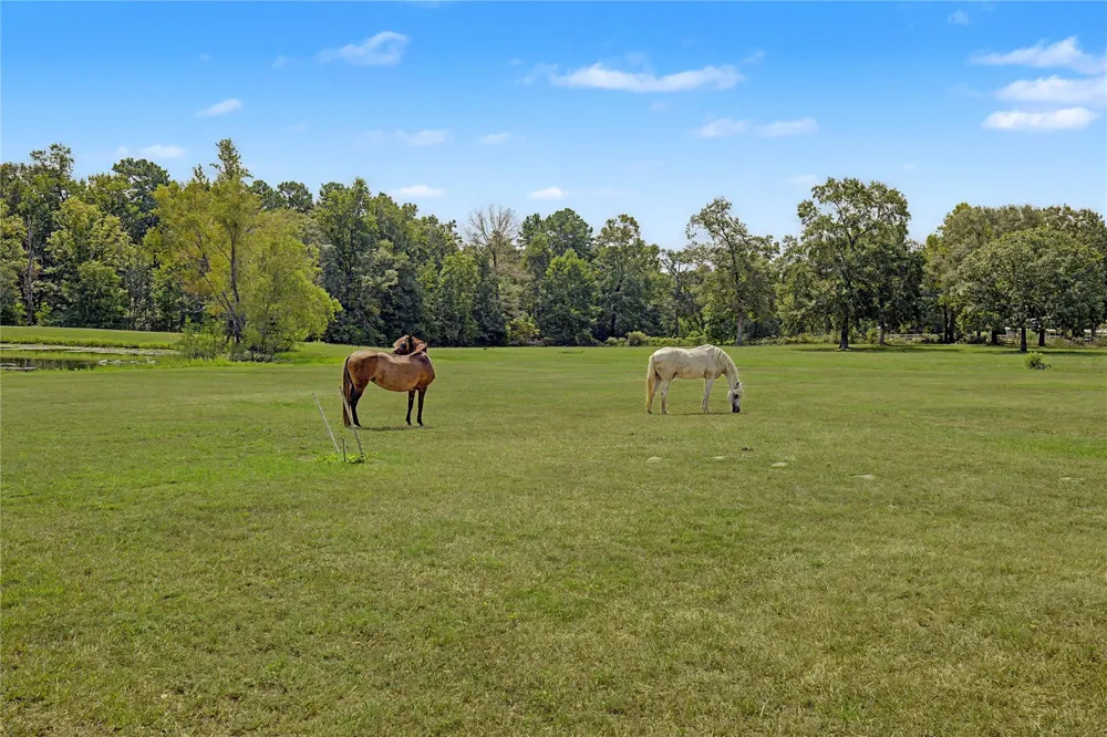 8988 County Line Road Willis, TX 77378