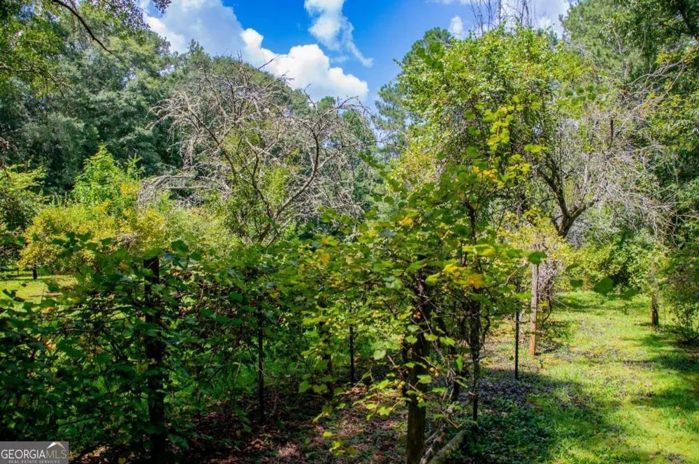 53 Garrett LN Carrollton, GA 30117