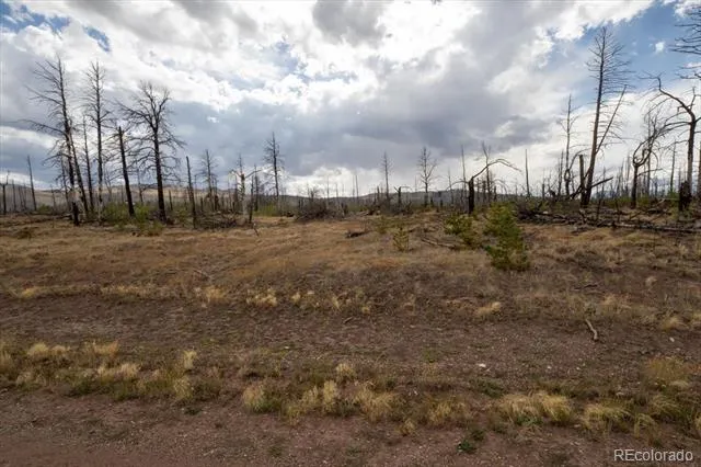 Lot 1576 Emery Lane Fort Garland, CO 81133