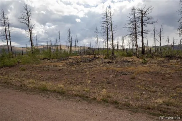 Lot 1576 Emery Lane Fort Garland, CO 81133